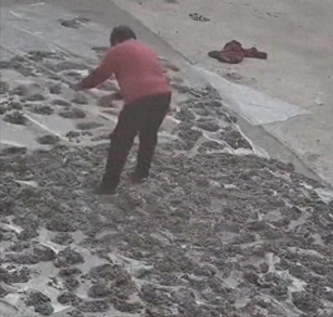 开云下载-80岁老太毁水泥地后续：损失超5000元，子女连夜返回，原因太离谱